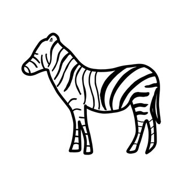 plains zebra Africa Animal Habitat Hand drawn Organic line