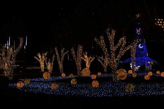 Bright lights decorate trees and pathways during the evening in a park for the holiday season