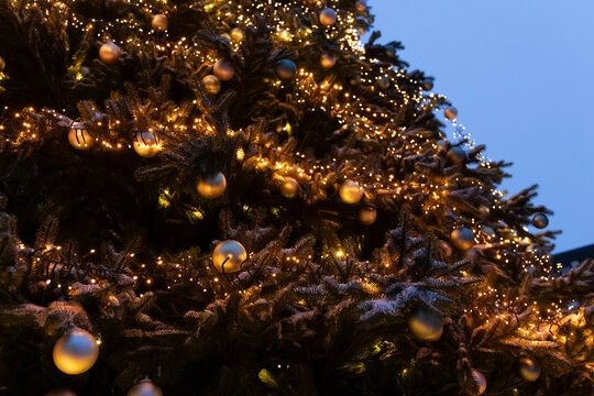 Christmas tree decorated with lights and ornaments at a public square during evening hours