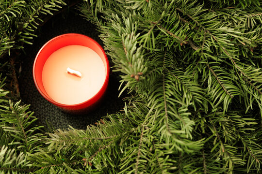 Candle placed among evergreen branches during the winter season
