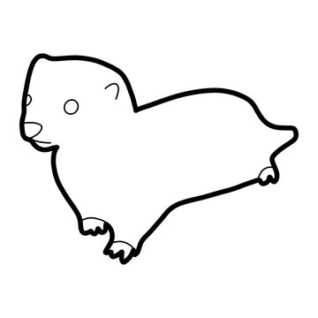 least weasel northern Asia Animal Habitat Hand drawn Organic line