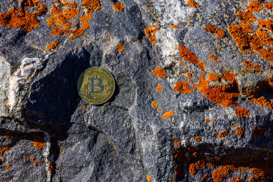 Gold Cryptocurrency Coin on Textured Rock with Lichen