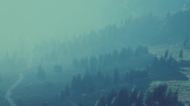Fog covers a mountain landscape in the early morning light. The view shows tall trees and a winding dirt road leading through the scene. The atmosphere feels quiet and still.
