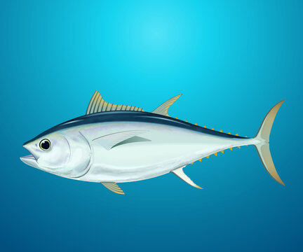 Isolated tuna on an ocean background