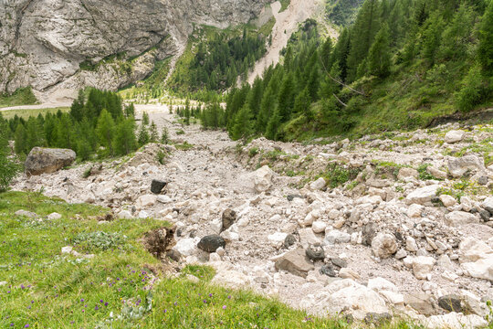 Rocca Pietore, Italy. Dry alpine riverbed beneath the Dolomites with larch forest and rugged mountain terrain
