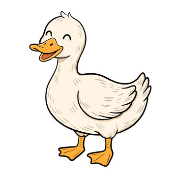 Funny Farm Animal Cute White Duck Standing Vector Illustration