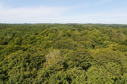 Vue sur la campagne et la for&ecirc;t