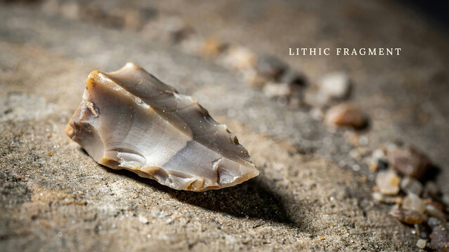 Ancient sharpened stone tool or lithic fragment found on rocky ground