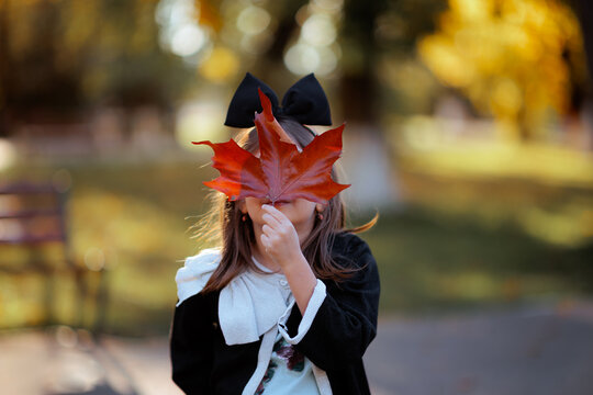 Little Girl In Park Hiding Her Face Behind Maple Leaf. Cute child covers her playful facial expression using a dry orange foliage