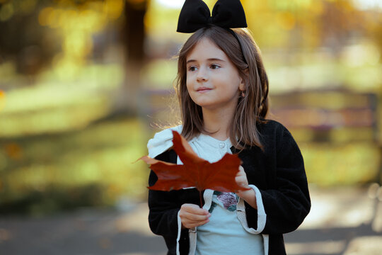 Little Girl In Autumn Park Holding Big Dry Maple Leaf. Cute child wearing elegant black jacket looks away while holding seasonal foliage
