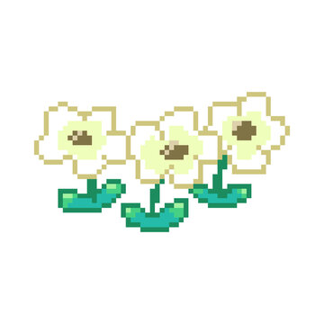 flower pixel