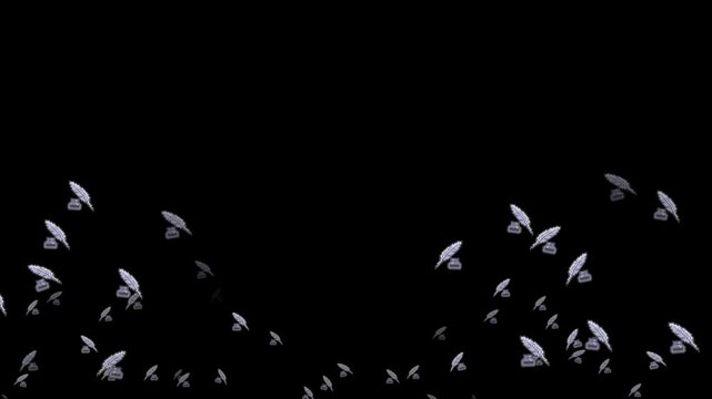 feather, quill, pen, write, writing, ink, vintage, history, poetry, author, tool, object, emoji, animation, motion graphics, black background, isolated, pixel art, retro, 8-bit, game asset, digital ar