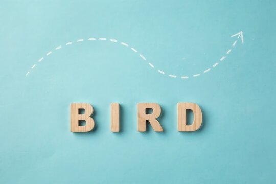 Wooden letters spelling the word BIRD with a dashed white arrow line indicating a flight path on a light blue background