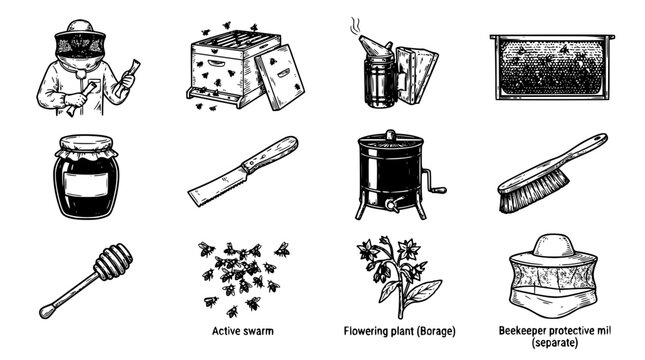 Beekeeping Equipment Set with Honey, Plants, and Protective Gear. Illustration of Apiary Tools, Honey Production