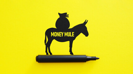 Money Mule Concept Showing Recruitment of People for Illegal Money Transfers and Financial Fraud,...