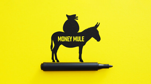 Money Mule Concept Showing Recruitment of People for Illegal Money Transfers and Financial Fraud, Showing the Role of Criminal Intermediaries in Money Laundering and Cybercrime