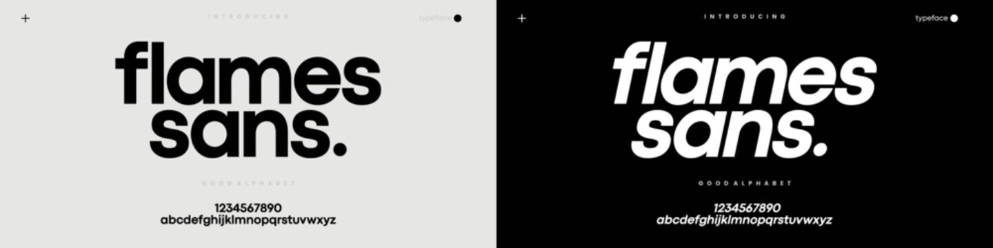 Modern Sans Serif Font for Bold Branding Editorial and Digital Design