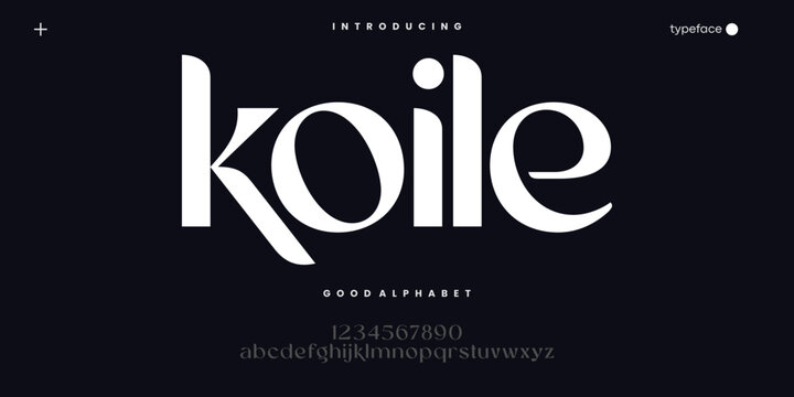 Elegant Modern Serif Font for Luxury Branding Fashion and Editorial Design