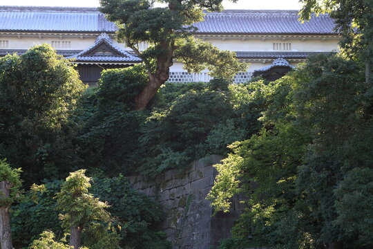 金沢城