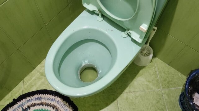 Green toilet bowl with urine and stool stains, raised lid and bathroom interior, top view