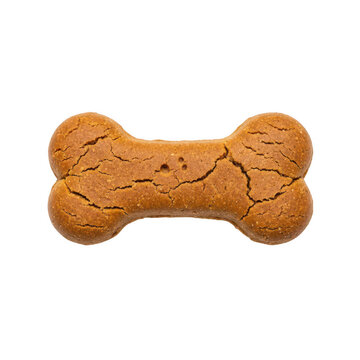 A dog treat shaped like a bone on a white background