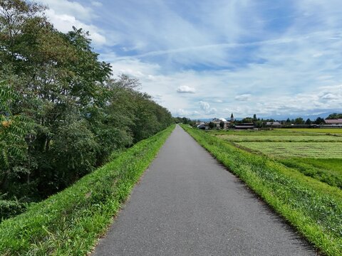 Asphalt path winds through lush greenery. Trees line one side, fields the other. Sky shows soft clouds and distant hills. Quiet, peaceful rural atmosphere. Ideal for nature, travel
