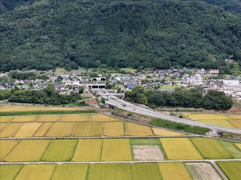 Rice fields glow golden under bright sun. Winding road cuts through tranquil countryside. Village nestles beside lush green mountains. No people visible, calmness dominates the scene