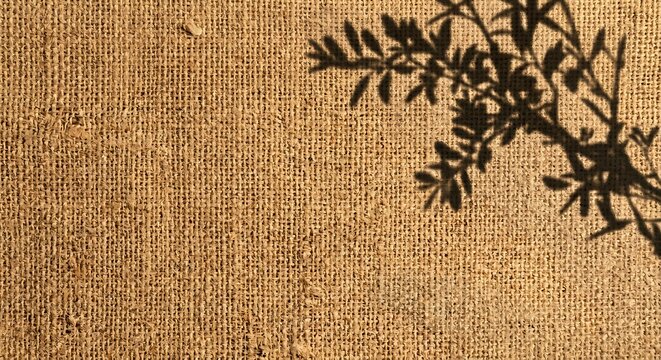 Plant branch shadow overlay on a rough brown burlap sack fabric background with fabric texture jute fabric rustic background botanical shadow organic pattern