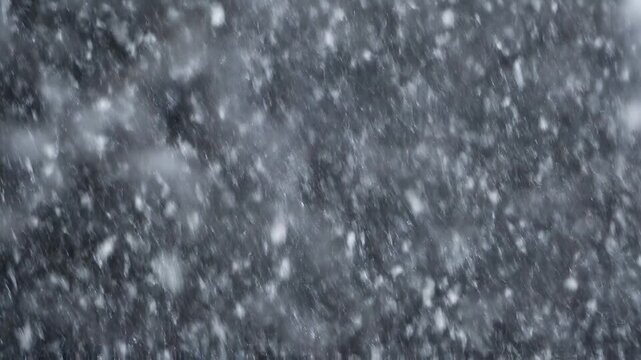 Gentle snowfall during a cold winter evening with soft atmospheric lighting creating a serene mood for seasonal projects
