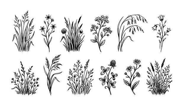 Hand drawn grass and wildflower border black line art vector illustration set