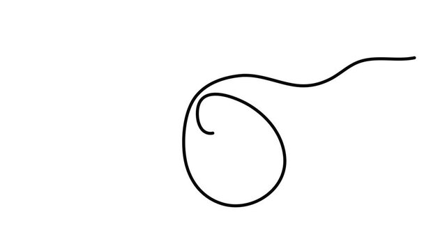 Map pin pointer location one line art animation, hand-drawn way destination continuous contour motion, navigation GPS marker travel destination and address placeholder 4k self-drawing video