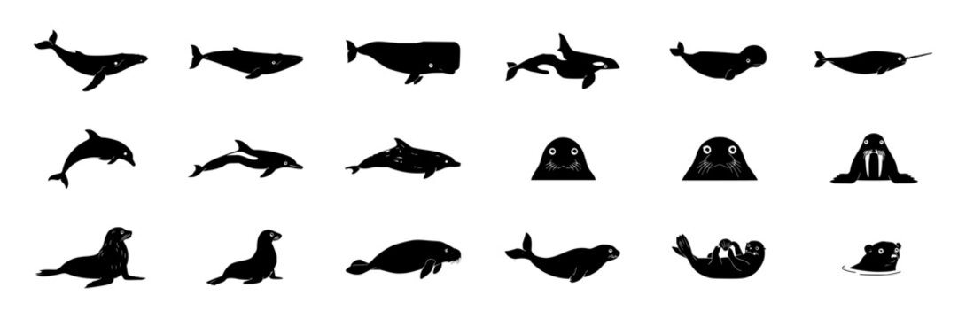 Marine mammal set with whale dolphin seal walrus featuring orca beluga narwhal with pinniped and cetacean
