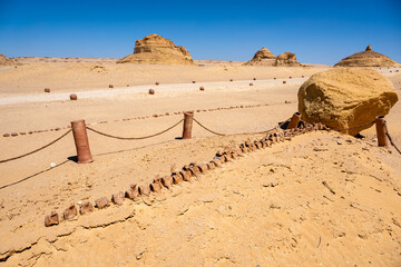 Whale fossils in Wadi Al Hitan inside Sahara Desert in Egypt. © Giannis