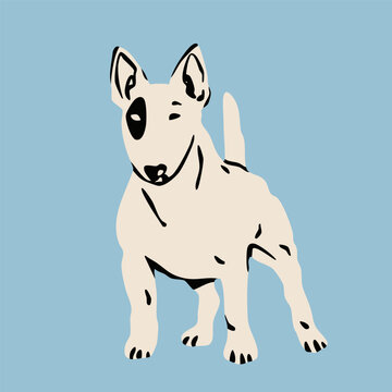 Bull terrier dog standing and looking. Blue background. Hand drawn trendy Vector illustration. Pet care, animal graphic clipart, canine concept. Sticker, logo, print template. Isolated element