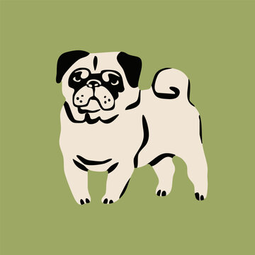 Pug dog standing and posing. Cute character. Hand drawn trendy Vector illustration. Pet care, animal graphic clipart, canine concept. Sticker, logo, print template. Isolated element