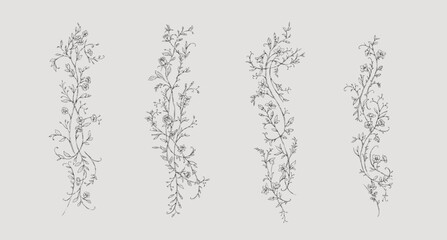 Naklejka premium Floral whimsical or rococo borders. Vintage flowers and botanical calligraphy for packaging, wedding greeting card or
