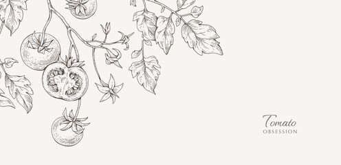 Obraz premium Background with tomatoes brunch and leaves. Detailed hand drawn ink illustration for template layout design, brochure or cover for food card