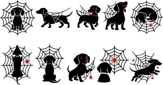 Zombie Dog Caught in Spider Web Halloween Pet Silhouettes in Transparent Background