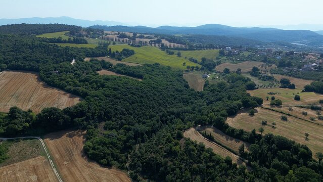 Europe, Italy , Amelia is located in southwestern Umbria, Hilly landscape typical of the central Apennines, with cultivated fields and a row of cypress trees.