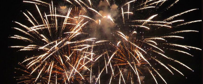 Golden Firework celebrate anniversary independence day night tim