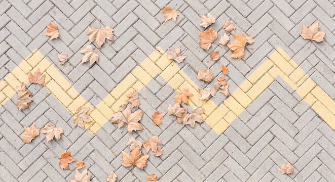 Top view of fallen dry autumn leaves scattered on gray herringbone paving blocks with a yellow zigzag line pattern