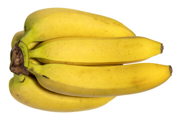 Ripe yellow banana cluster tropical fruit nutrition organic harvest © brovarky