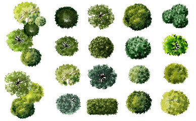 Naklejka premium vector watercolor tree top view isolated on white background for landscape plan and architecture layout drawing, elements for environment and garden,green grass