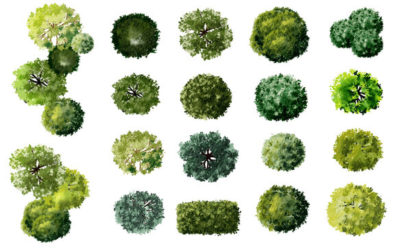 vector watercolor tree top view isolated on white background for landscape plan and architecture layout drawing, elements for environment and garden,green grass