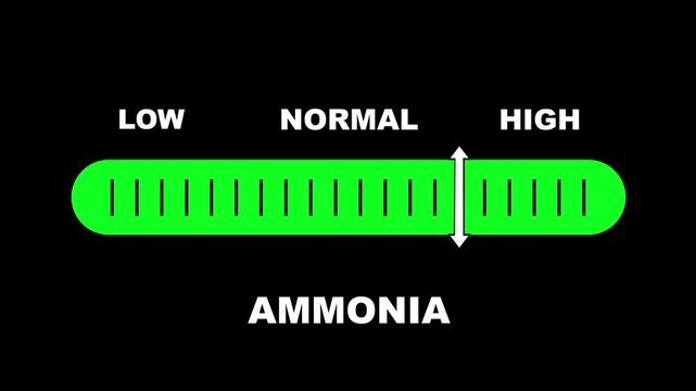 Ammonia level indicator scale. Low normal & high meter infographic animation on black background. Showing high ammonia level color gauge indicator for air quality and chemical safety monitoring.
