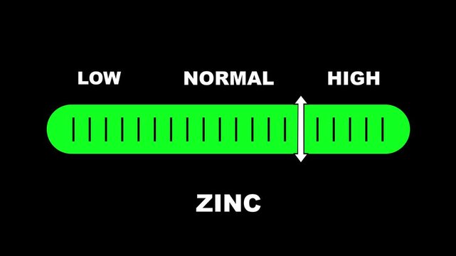 Zinc level indicator scale. Low normal & high meter infographic animation on black background. Showing high zinc level color gauge indicator for nutrition and immune health monitoring