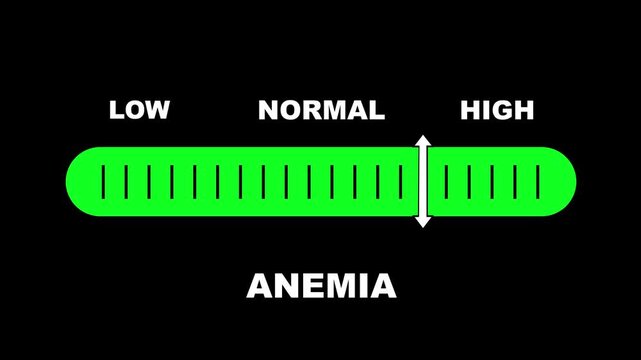 Anemia level indicator scale. Low Normal High meter infographic animation on black background. Animation showing high anemia level color gauge indicator for blood health and iron deficiency monitoring