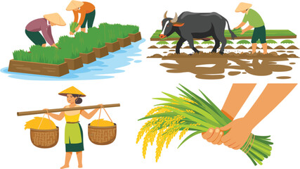 Obraz premium Traditional Rice Farming and Agriculture Vector Set with Asian Farmers Buffalo Rice Paddy Harvesting and Cultivation Illustrations for Rural Culture Design