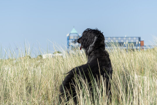 Afghane am Strand an der Nordsee