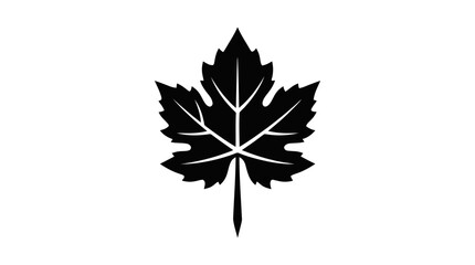 Fototapeta premium Vector illustration of black maple leaf icon on a transparent background